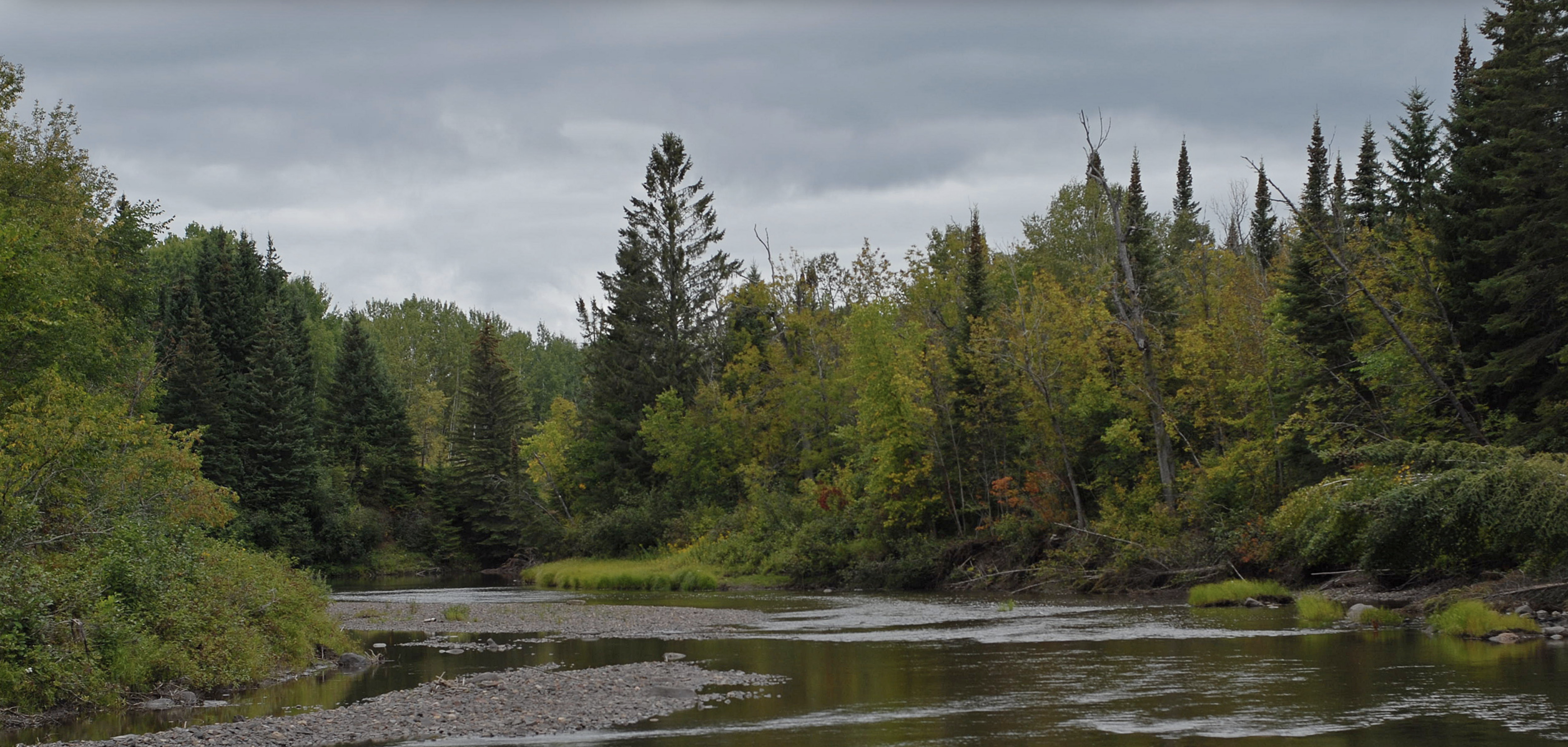 Thunder Bay Field Naturalists